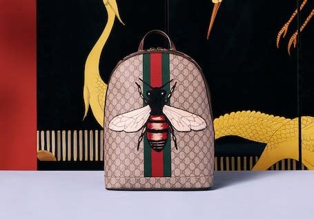 gucci turkiye